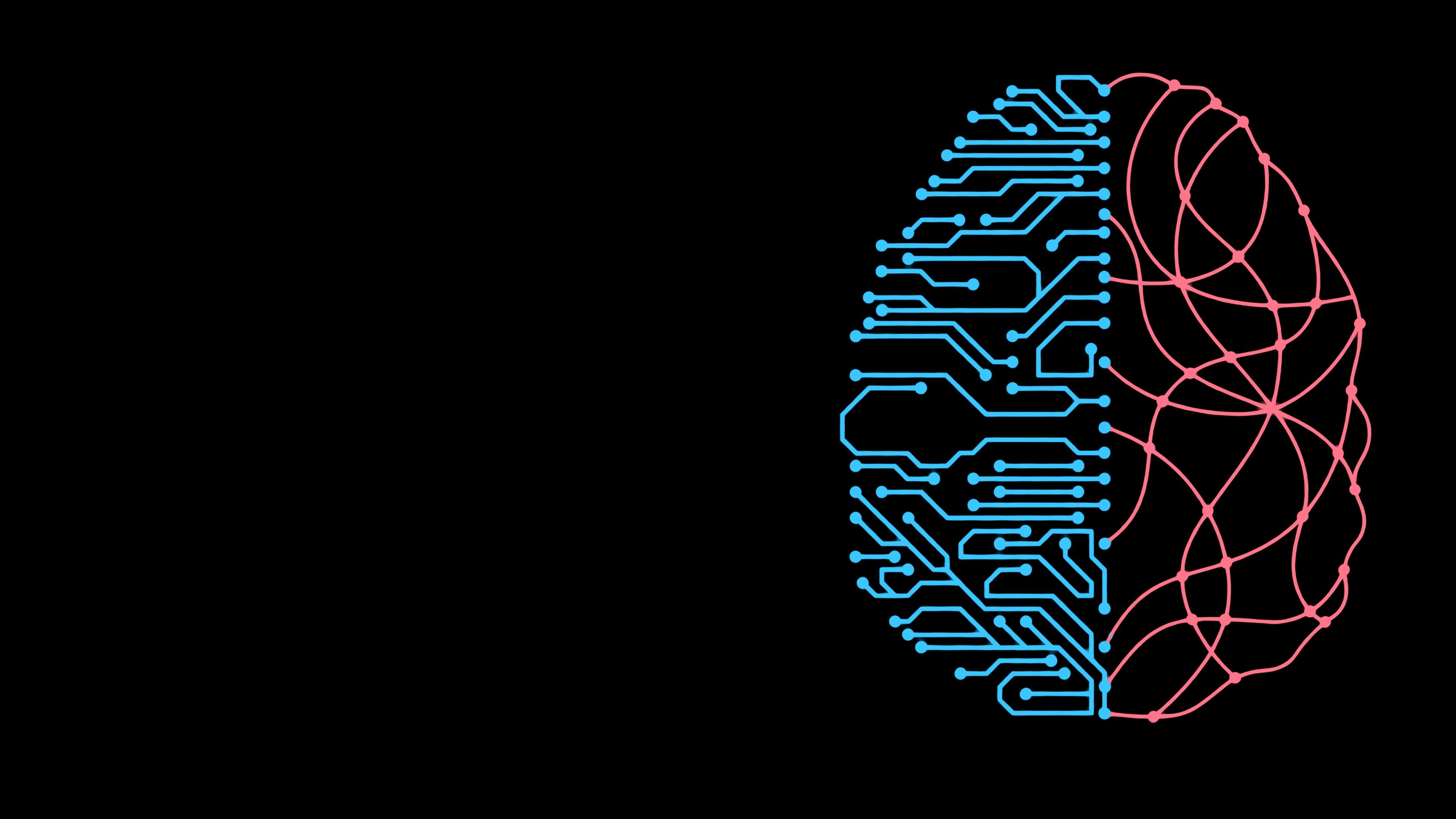 An abstract split-brain circuit graphic in the 2nd::Sentience brand colours of sky blue and rose on a black background, symbolising human and artificial intelligence working together